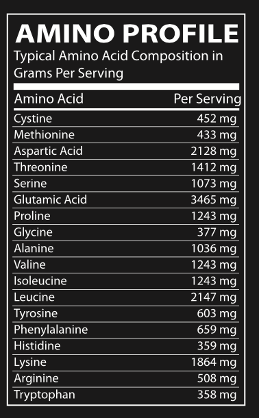 Wicked Whey Protein Isolate